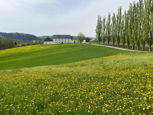Obstgartl - Ferienhaus Mühlviertler Hügelland in Pregarten, Österreich