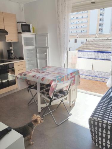 2 bedrooms apartement with furnished balcony and wifi at Peniscola 2 km away from the beach