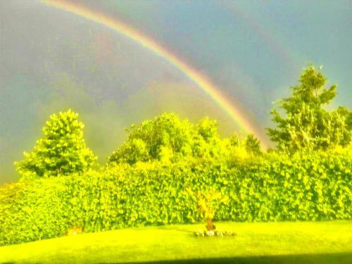 Exklusive Wohnung mit Panorama von Schwarzwald bis zu den Vogesen Exklusive Wohnung mit Panorama von Schwarzwald bis zu den Vogesen