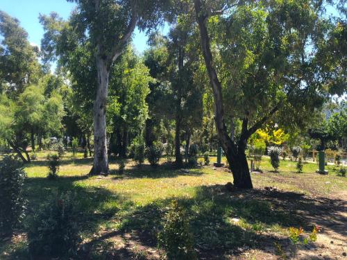 Camping Dolce Vita Camping Dolce Vita