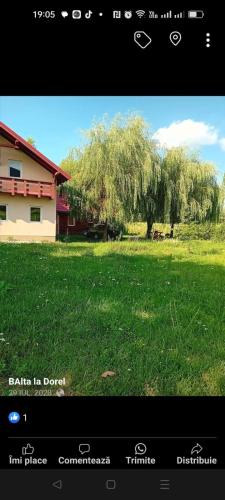 Camera Primăverii 1 (Camera Primaverii 1) in Lăschia