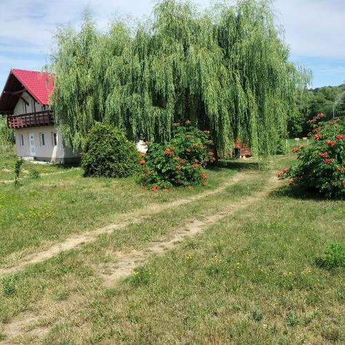 Camera Primăverii 1 (Camera Primaverii 1) in Lăschia
