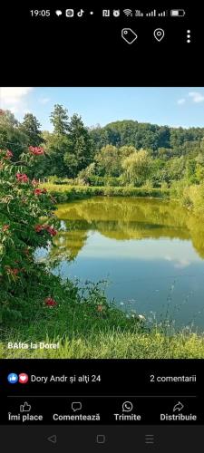 Camera Primăverii 1 (Camera Primaverii 1) in Lăschia