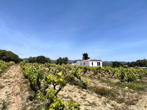 Masia St Salvador 1582 - Tap to explore photos