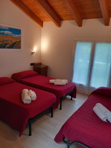 La collinetta B&B