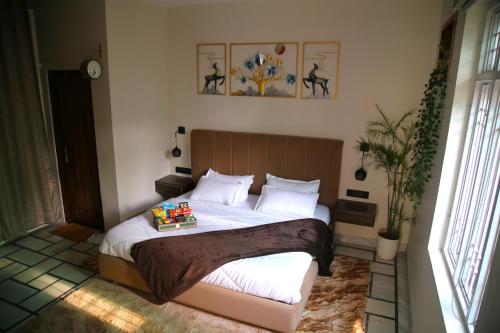 House No 87  photo 2