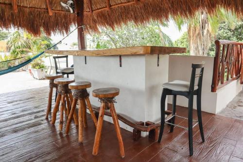 La Palapa Cancun Downtown, Cancún (fotografie 6)