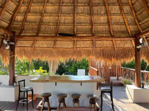La Palapa Cancun Downtown, Cancún (fotografie 7)