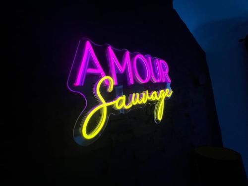Amour Sauvage-Love Room****, Centre-Historique - Location saisonnière - Avignon