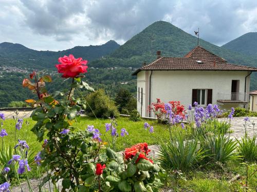 Villa Oleandra with Garden&Swimming pool 5