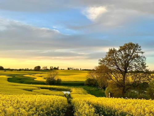 Ümbrus, Min lütt hütt (Min lutt hutt) in Rieseby