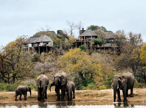 Leopard Hills Private Game Reserve