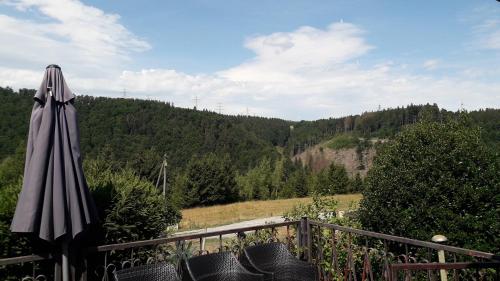 Skats, Ferienhaus am Rennsteig in Goldisthal