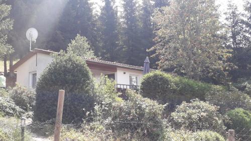 Viesnīcas āriene, Ferienhaus am Rennsteig in Goldisthal