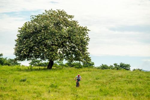 Photo - Hacienda Pinilla Vacation Rentals