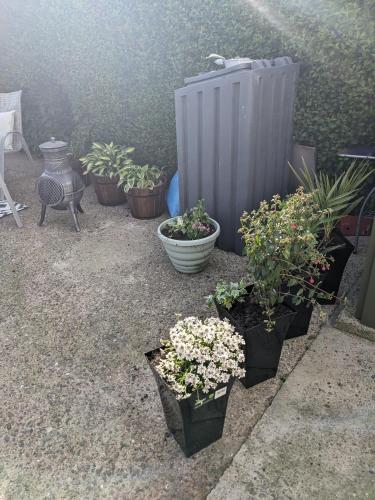 景觀, Cosy cottage with sea & mountain views Carnlough in 康洛赫