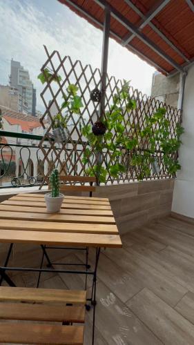 Byout Beirut’s M1 - image 3