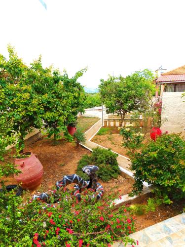 Garden, Village house with a nice garden in Akrotiri