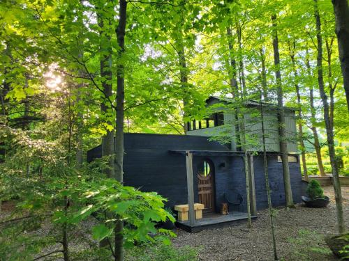 Black Pine Tree House