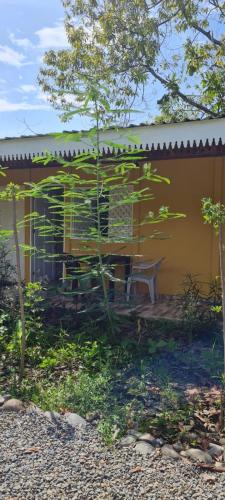 Apartamentos Sol in Cahuita