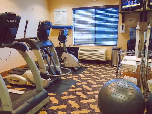 Holiday Inn Express Hotel & Suites Sioux Falls-Brandon an IHG Hotel - image 7