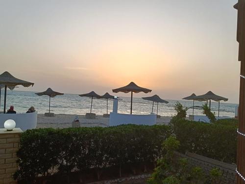 شاليه سياحي مكيف صف أول علي البحر مباشره ومكيف وبحديقه خاصه (شاليه سياحي مكيف صف أول علي البحر مباشره ومكيف وبحديقه خاصه) in Ras Sedr