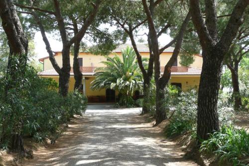 PODERE OSLAVIA AZ.AGR.BIO GIANNINI - Rispescia