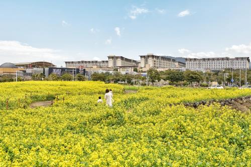 Landing Jeju Shinhwa World Hotel