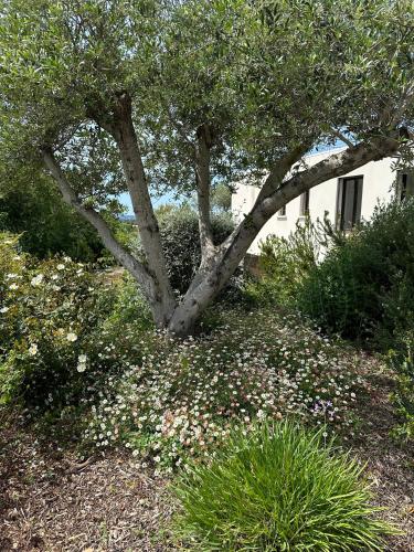 Studio Verveine Studio Verveine