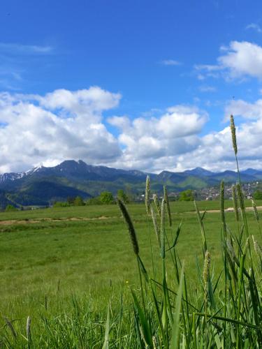 Domki na Gawlakach, Zakopane (foto 6)