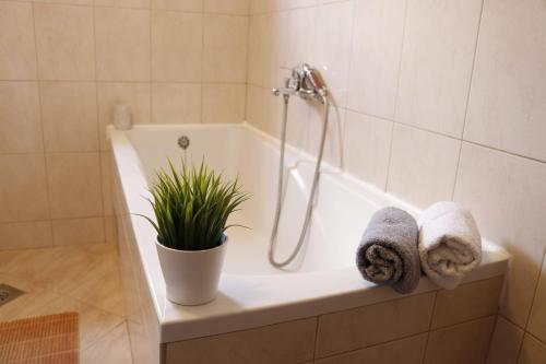 Vannas istaba, Holiday Home Maslina in Stankovci