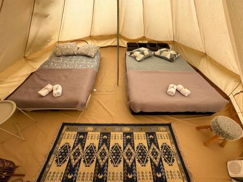 Glamping Cisnadioara in Cisnadioara