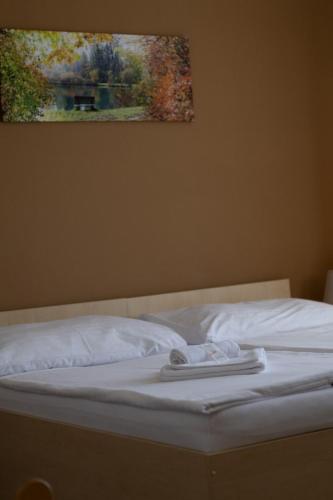 Pension Fontana - main image