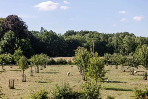 Tiny House Natuur & cultuur nabij Brugge!