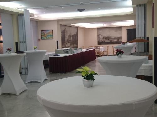 Hotel Ceresio - image 12