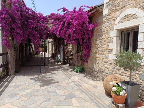 外部景觀, 塔勒頓生態旅館 (Taleton Eco Guest House) in 法里斯