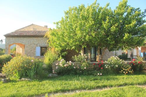 Kert, Villa Helios in Rustrel