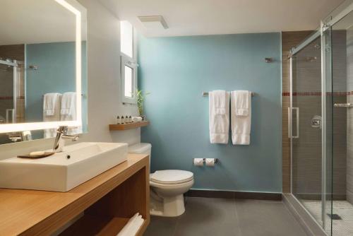 TRYP by Wyndham Isla Verde - image 10