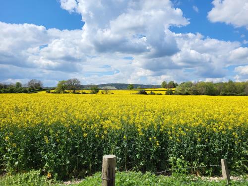 North Mundham Cottage, Shared Pool, Tennis Court, Zip Wire & Table Tennis! DOG FRIENDLY