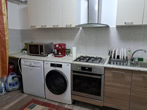 ห้องครัว, Ali Relax Home Apartment in โรมัน