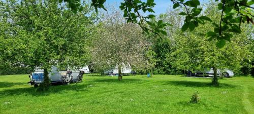 Chalet Hof van Autriche in Westdorpe