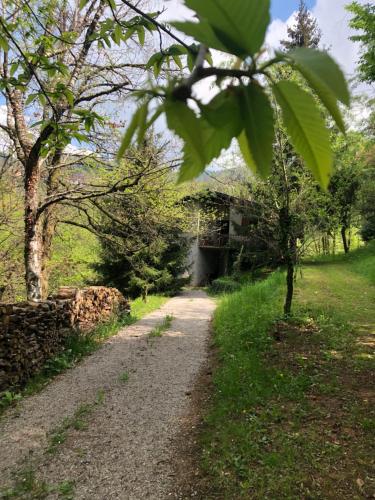 La casa nel bosco - Brione gîte à louer Inzino