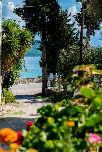  Nikoleta Studios in Nikiana