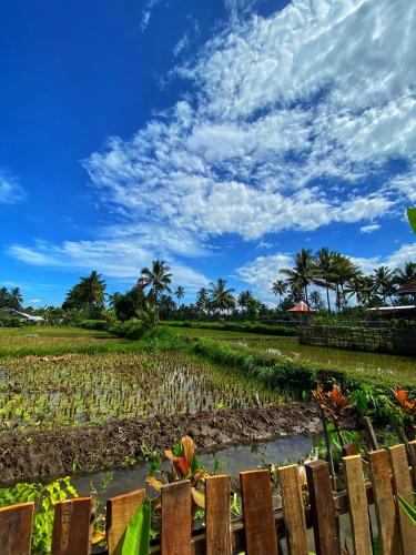 Alfarizi homestay Room Type - Double Room with Garden View