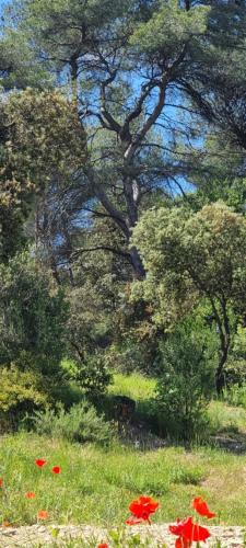 Appartement N° 1 avec jardin privé LES BOIS DE ZOLA