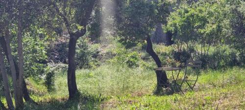 Appartement N° 1 avec jardin privé LES BOIS DE ZOLA