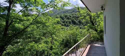 Apkārtne, Rijeka Crnojevica Apartment Vujovic in Rijeka Crnojevica