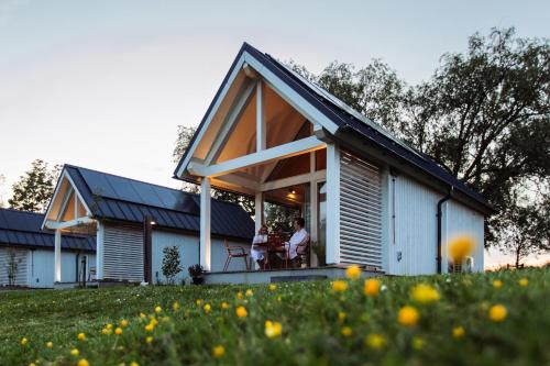 Tiny house met hottub, Dokkum