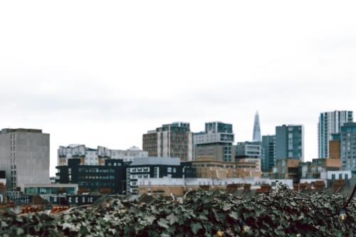 New Road Hotel - image 4