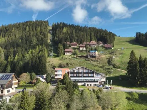 Hotel Alpengasthof Hochegger in Klippitztorl, Österreich